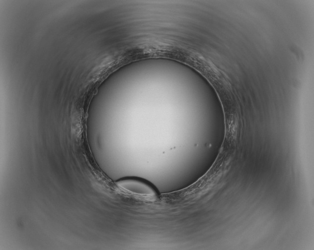 X0000113171012200909041317