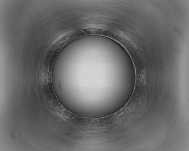 X0000113171014200909041317