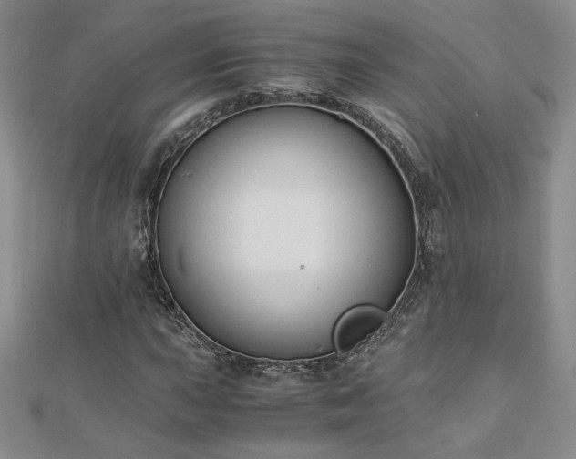 X0000113171015200909041317
