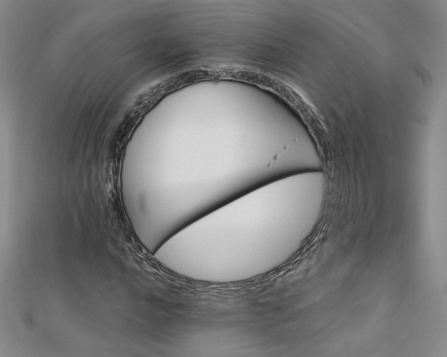 X0000113171016200909041317