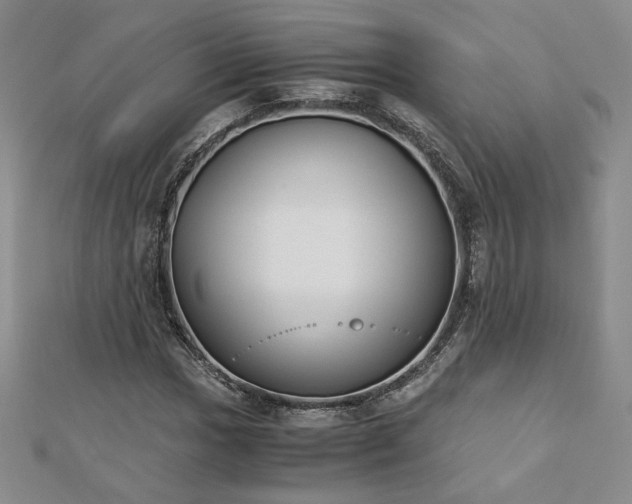 X0000113171017200909041317