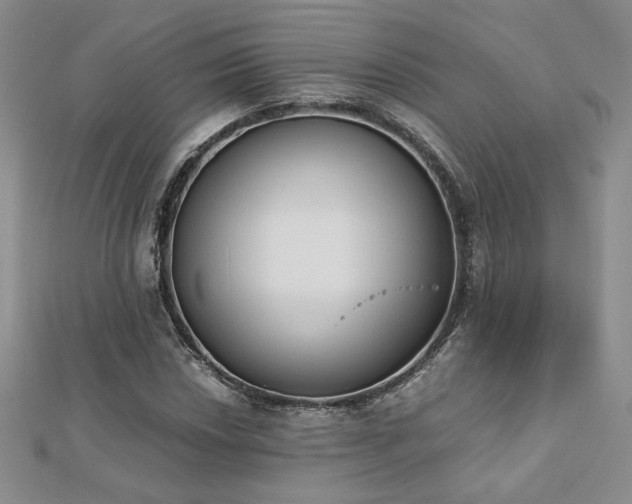 X0000113171018200909041317