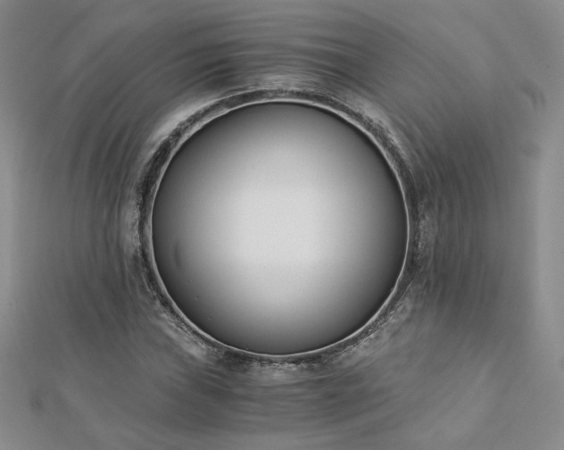 X0000113171019200909041317