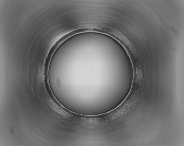 X0000113171020200909041317