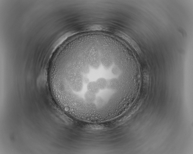 X0000113171023200909041317
