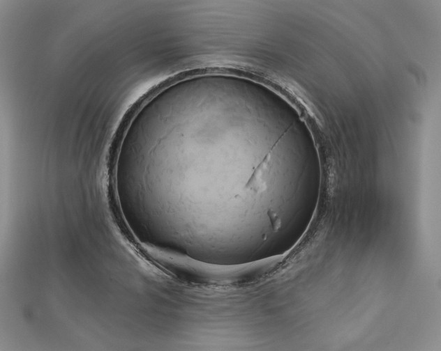 X0000113171024200909041317