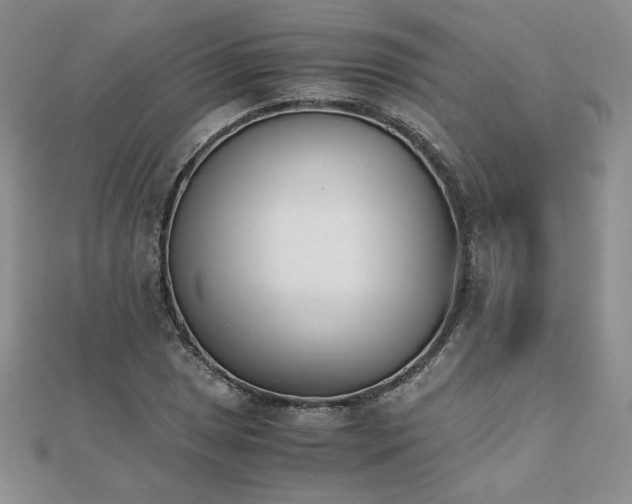 X0000113171025200909041317