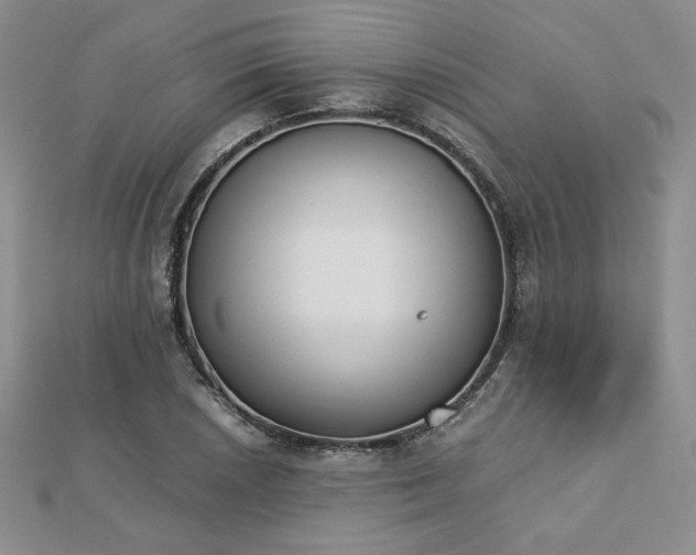 X0000113171026200909041317