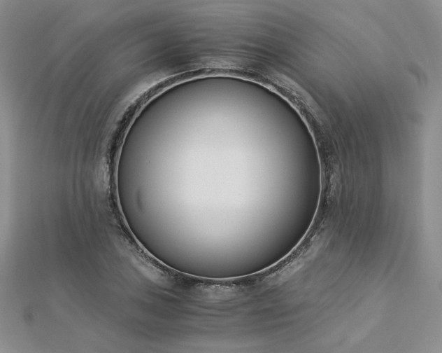 X0000113171027200909041317