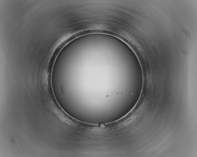 X0000113171029200909041317