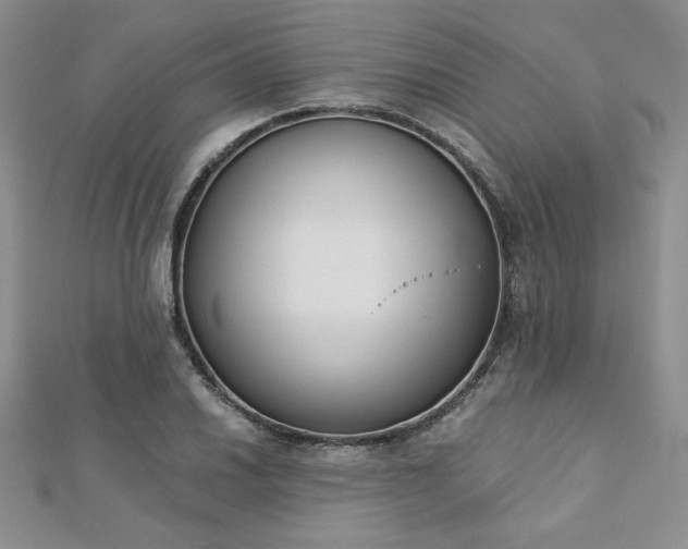 X0000113171030200909041317