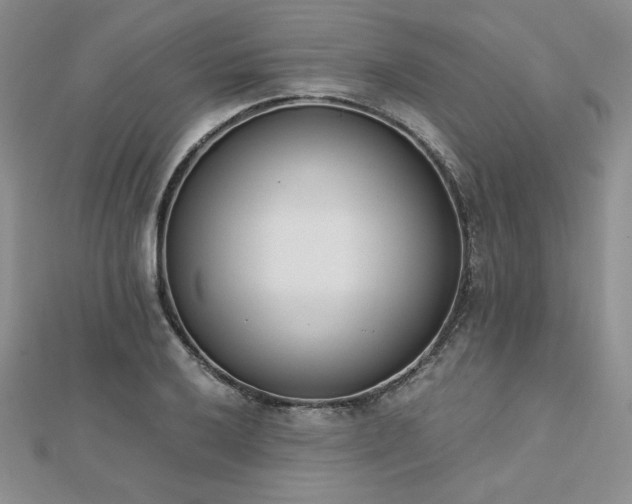 X0000113171032200909041317