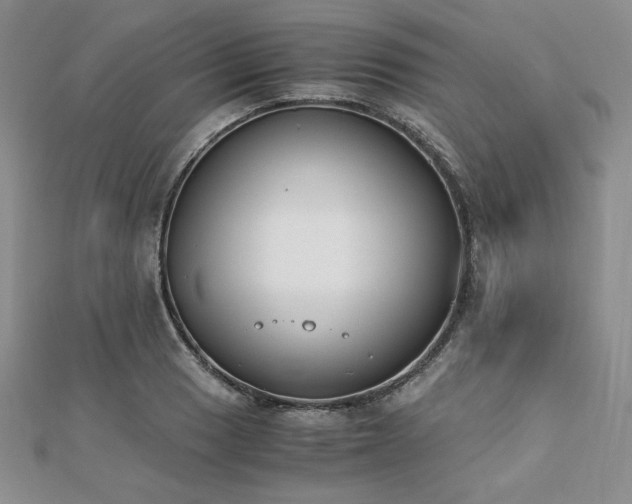 X0000113171033200909041317