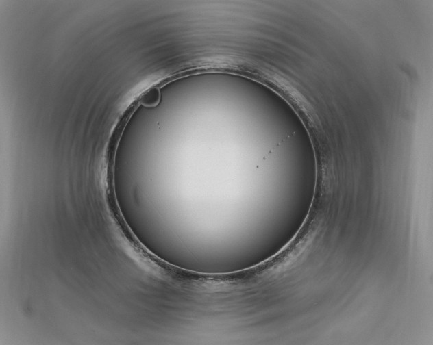 X0000113171034200909041318