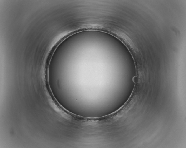 X0000113171038200909041318