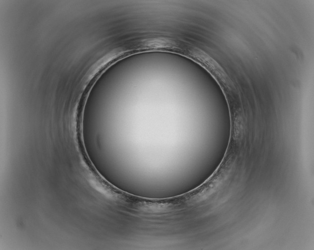 X0000113171039200909041318