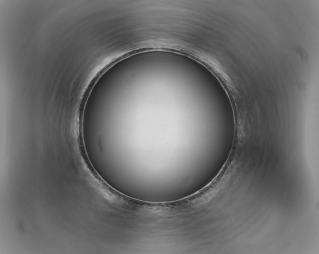 X0000113171040200909041318
