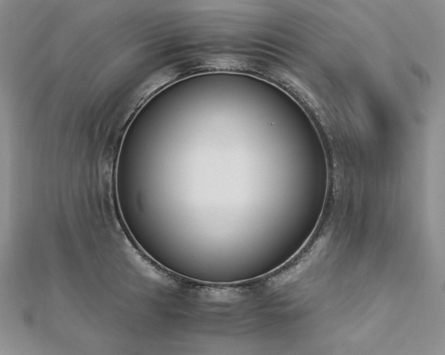 X0000113171041200909041318