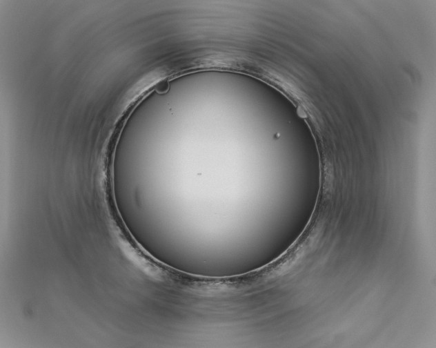 X0000113171042200909041318