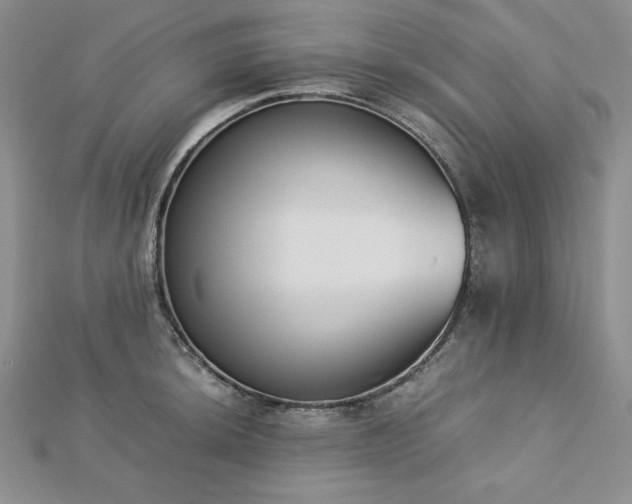 X0000113171044200909041318