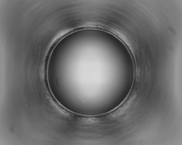 X0000113171045200909041318