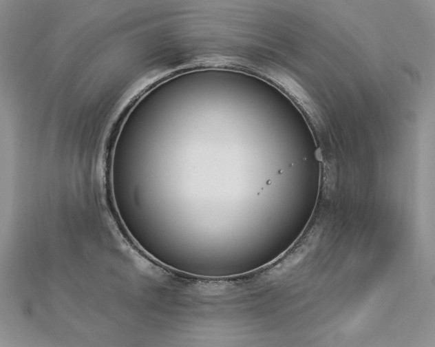 X0000113171046200909041318