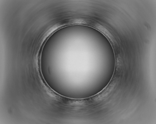 X0000113171047200909041318