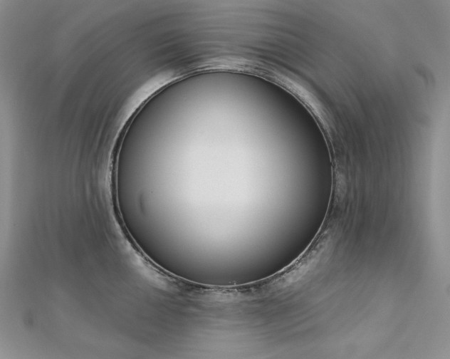 X0000113171050200909041318