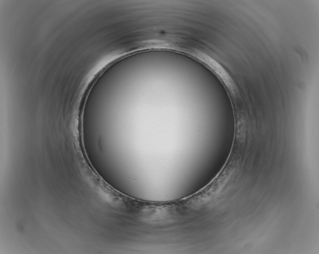 X0000113171051200909041318