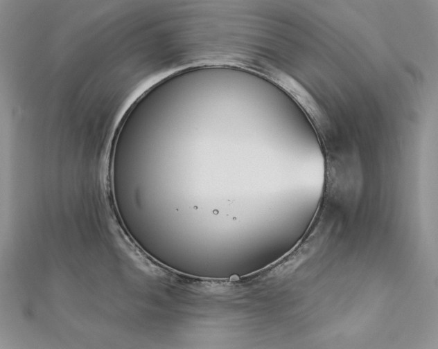 X0000113171052200909041318