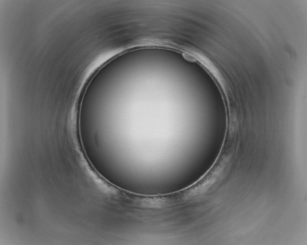 X0000113171053200909041318