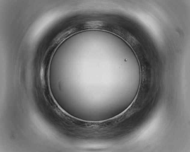 X0000113171054200909041318