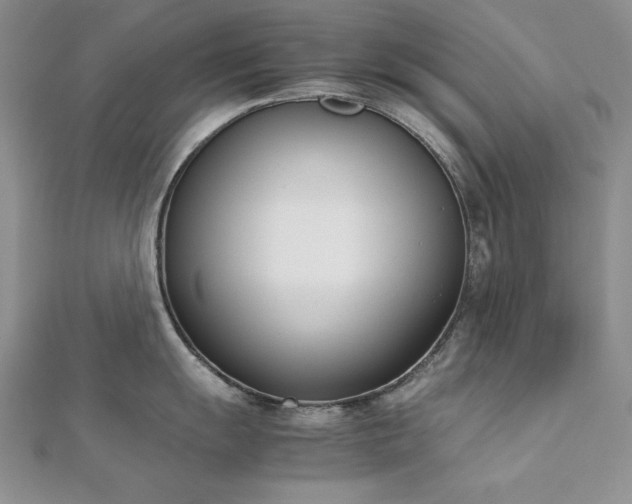 X0000113171055200909041318