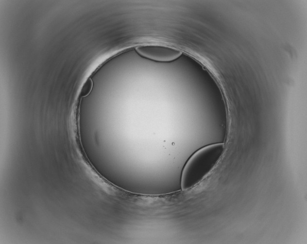 X0000113171056200909041318
