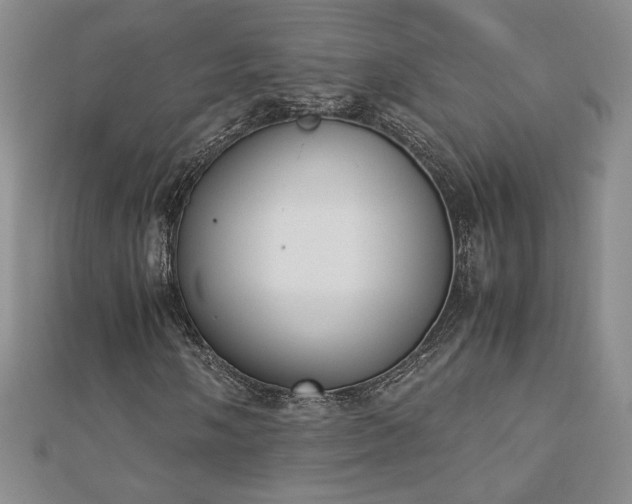 X0000113171058200909041317