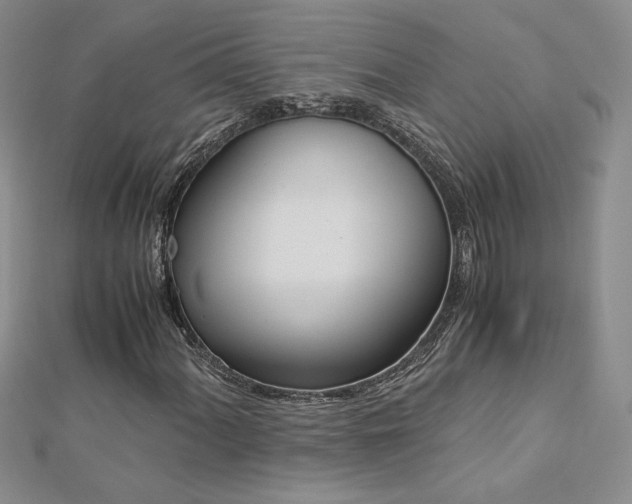 X0000113171060200909041317