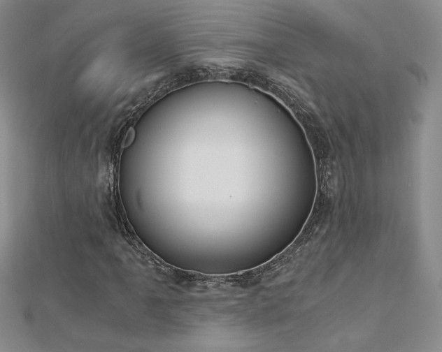 X0000113171061200909041317