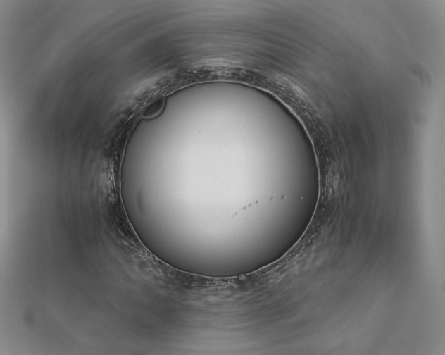 X0000113171062200909041317