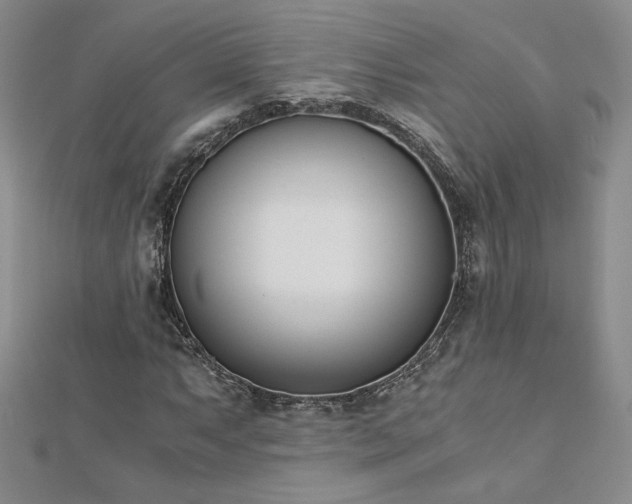 X0000113171063200909041317