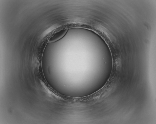 X0000113171064200909041317