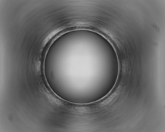 X0000113171066200909041317