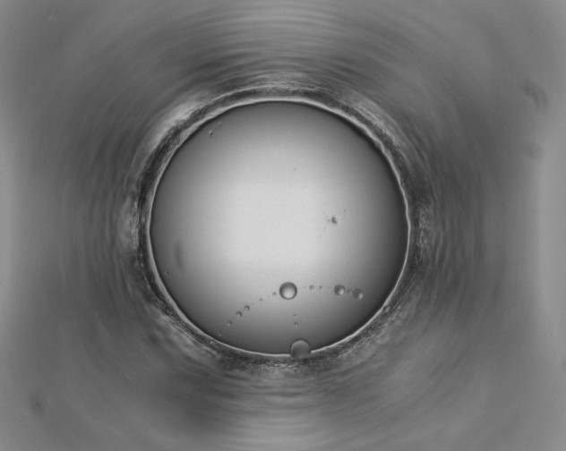 X0000113171067200909041317