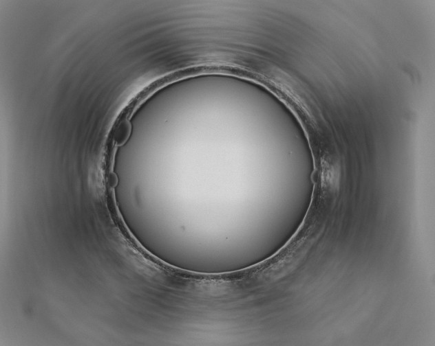 X0000113171068200909041317