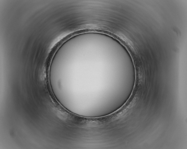 X0000113171070200909041317