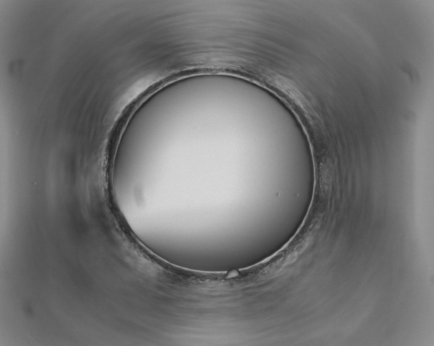 X0000113171071200909041317