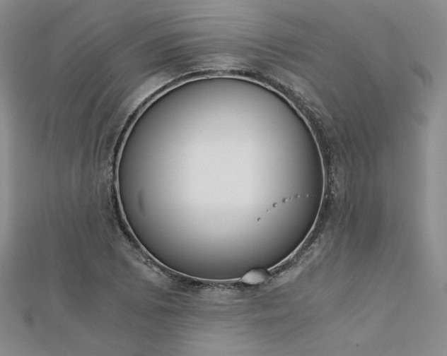 X0000113171073200909041317