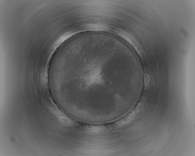 X0000113171074200909041317