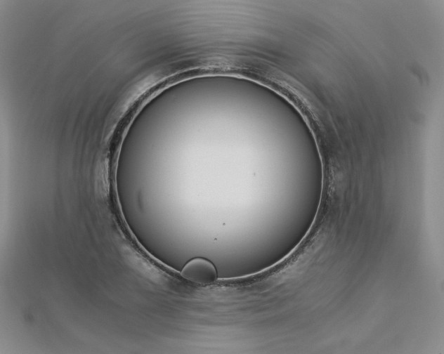 X0000113171075200909041317