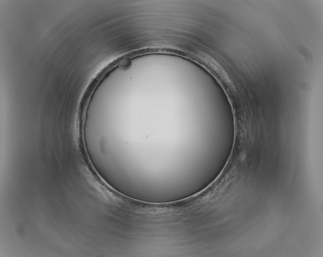 X0000113171076200909041317