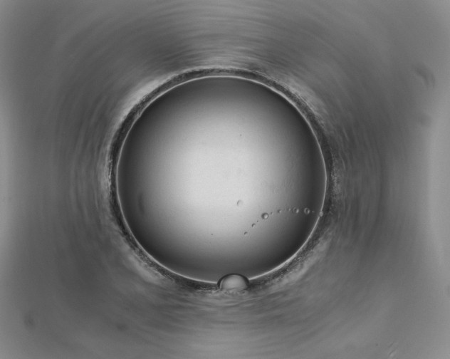 X0000113171077200909041317